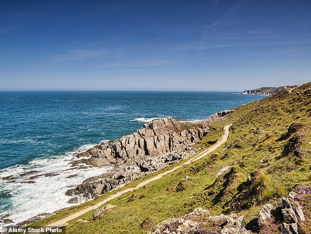 dog walker, 64, slipped and plunged to his death over cliff at devon beauty spot while trying to save his springer that was stuck on a ledge