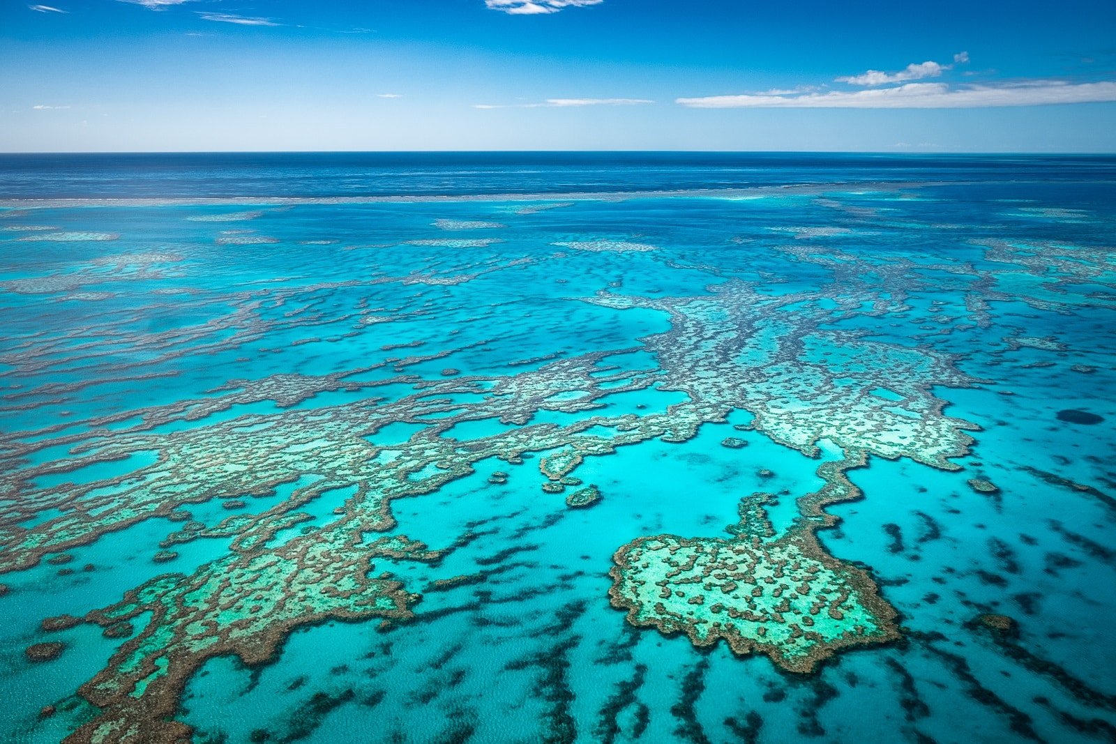 <p><span>Dive into the aquatic wonderland of the Great Barrier Reef, a marvel of the natural world off the coast of Queensland, Australia. This expansive coral reef system, visible from space, is a vibrant underwater universe teeming with diverse marine life.</span></p> <p><span>Immerse yourself in this kaleidoscope of color as you snorkel or dive among the coral gardens, encountering everything from tiny, colorful fish to majestic sea turtles and reef sharks. The reef offers a spectacular display of marine biodiversity and provides an insight into the fragility of our natural world, reminding us of the importance of conservation efforts.</span></p> <p><b>Insider’s Tip: </b><span>Opt for a liveaboard dive trip to explore the reef’s remote areas in-depth.</span></p> <p><b>When To Travel: </b><span>June to October provides great visibility and pleasant weather for diving and snorkeling.</span></p> <p><b>How To Get There: </b><span>Fly to Cairns or Townsville, where numerous tours to the reef are available.</span></p>