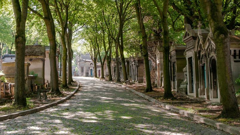 comment hidalgo veut gagner 300 hectares d’espaces verts grâce aux cimetières