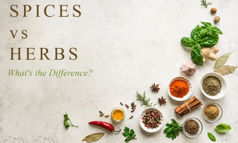 Spices vs Herbs: What's the Difference?