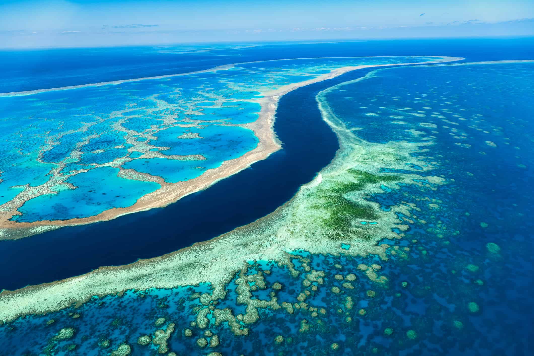 <p>Stretching for more than 1,600 miles along the coast of Australia, the <a href="https://whc.unesco.org/en/list/154" rel="noopener">Great Barrier Reef</a> is the largest living structure on Earth. That’s right, it’s made entirely by living organisms! Built by billions of coral polyps, the <a href="https://a-z-animals.com/blog/largest-coral-reef-in-the-world/?utm_campaign=msn&utm_source=msn_slideshow&utm_content=1329881&utm_medium=in_content">Great Barrier Reef</a> covers 133,000 square miles and is so big that you can even see it from outer space! These tiny animals attach themselves to hard surfaces like submerged rocks, where they form hard skeletons by secreting calcium carbonate. Generations of these coral polyps have collected over time to form the Great Barrier Reef we see today. </p><p>Sharks, lions, alligators, and more! Don’t miss today’s latest and most exciting animal news. <strong><a href="https://www.msn.com/en-us/channel/source/AZ%20Animals%20US/sr-vid-7etr9q8xun6k6508c3nufaum0de3dqktiq6h27ddeagnfug30wka">Click here to access the A-Z Animals profile page</a> and be sure to hit the <em>Follow</em> button here or at the top of this article! </strong></p> <p>Have feedback? Add a comment below!</p>