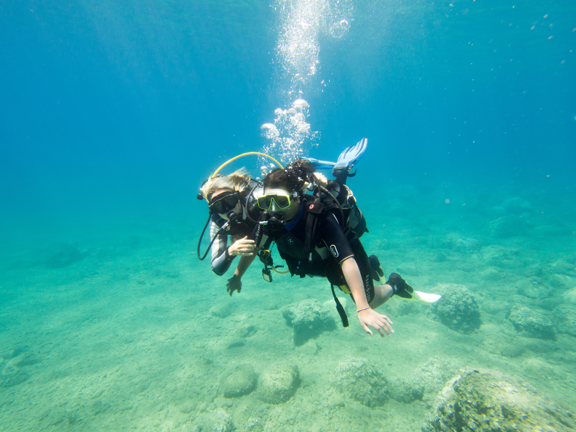 If you're into diving and traveling the world, then becoming an instructor is a great way to combine both.<p><a href="https://www.msn.com/en-in/community/channel/vid-7xx8mnucu55yw63we9va2gwr7uihbxwc68fxqp25x6tg4ftibpra?cvid=94631541bc0f4f89bfd59158d696ad7e">Follow us and access great exclusive content every day</a></p>