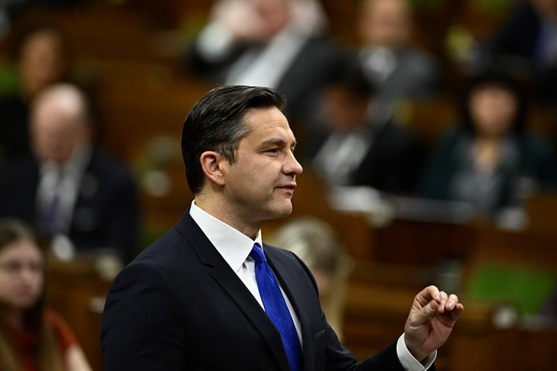 online harms against minors, victims must be criminalized, not regulated: poilievre