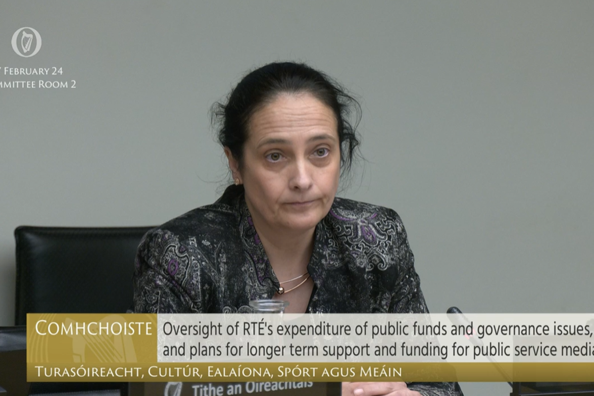 rte chairwoman ‘indicated she might resign’ before minister’s live tv interview