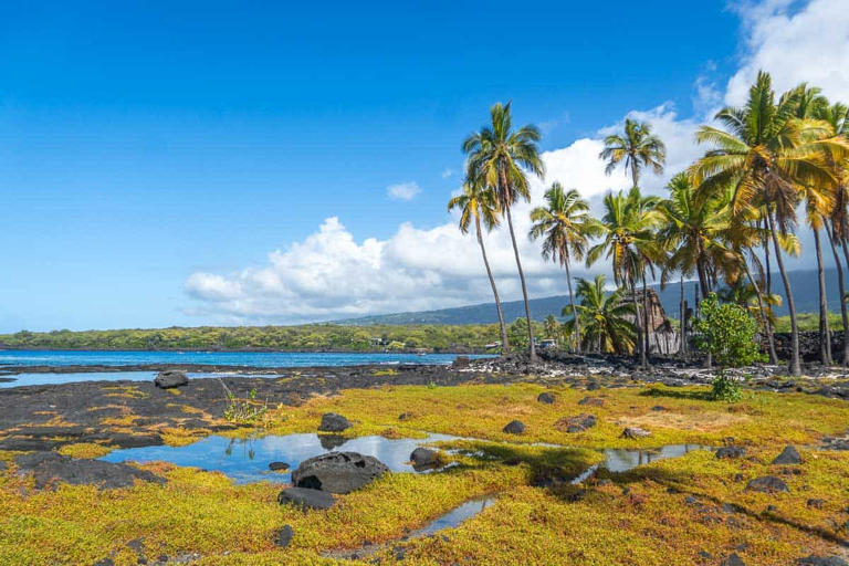 When is the best time to jet off to the largest of Hawaii’s islands, known for its diverse climates,...
