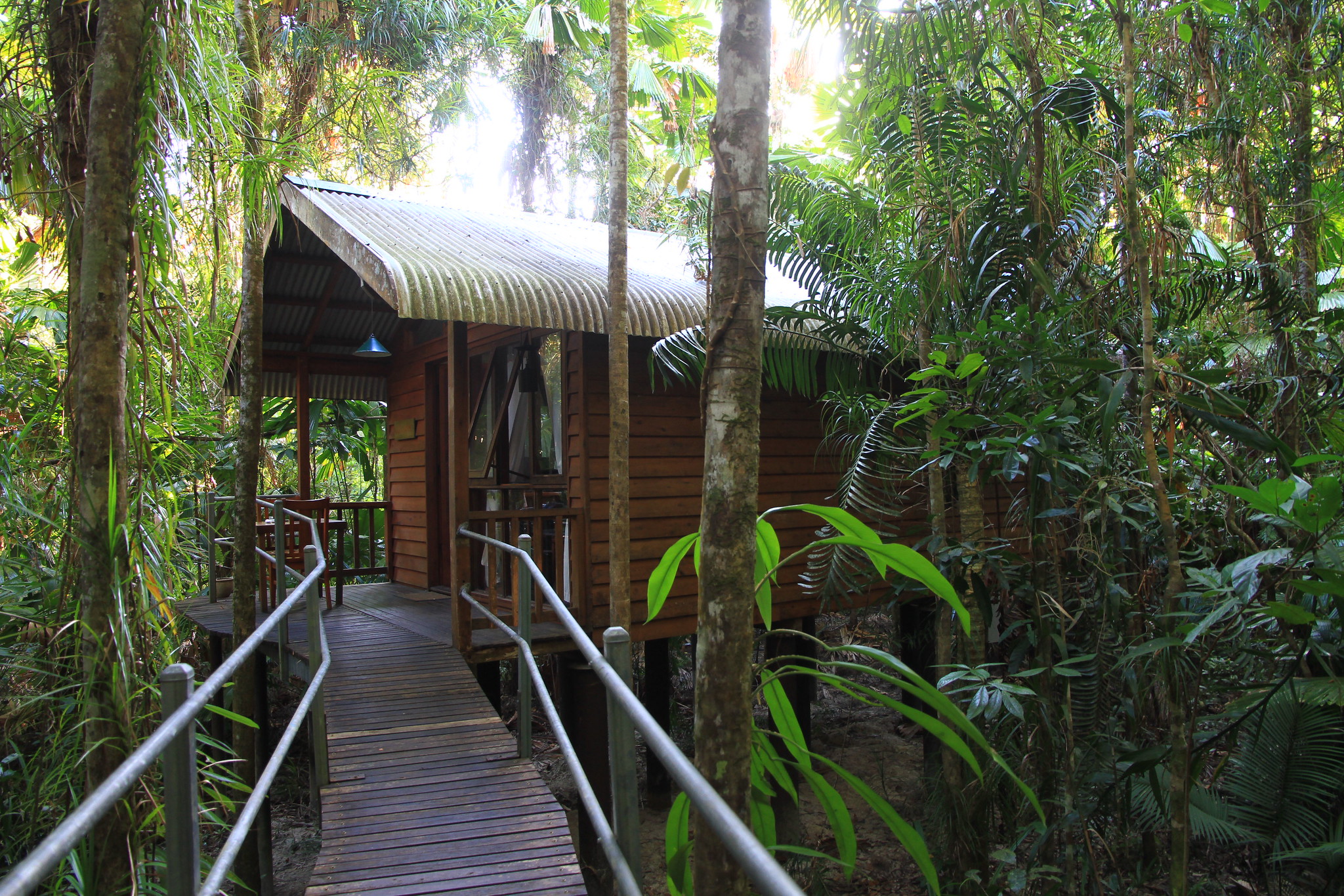 <p>At the Daintree Wilderness Lodge, you’ll stay in <strong>treehouse villas</strong> that ensure a minimal impact on the surrounding ecosystem. Activities at the lodge include hiking tours through the ancient forests, and painting workshops featuring pigments made from local ocher. </p>  <p>The Great Barrier Reef Marine Paark is also nearby (less than an hour) for those looking to explore one of the world’s best places to dive.</p>
