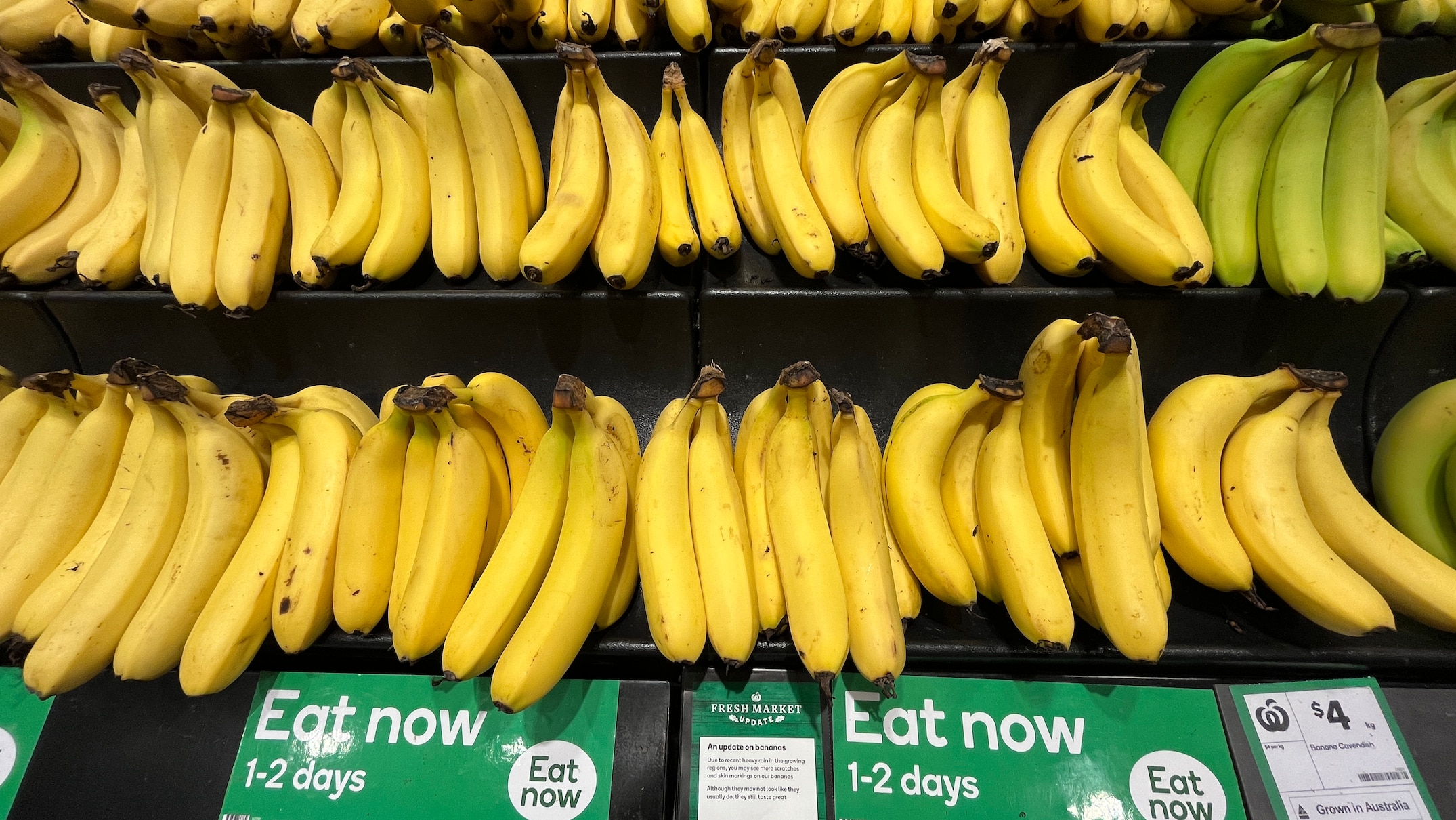 supermarkets promote cyclone-affected bananas in queensland as farmers hope it changes perceptions