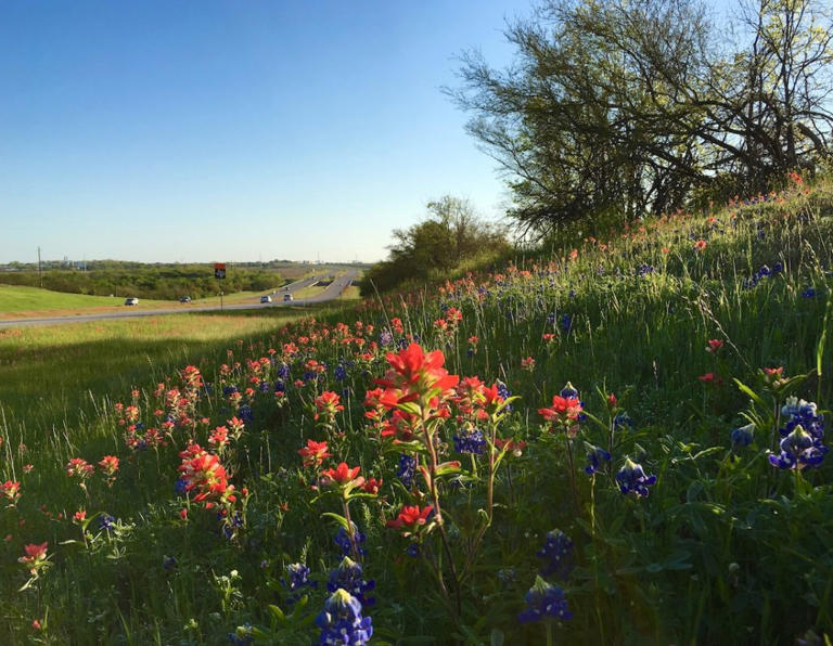 From Amarillo to Padre: 26 top things to do for spring break in Texas