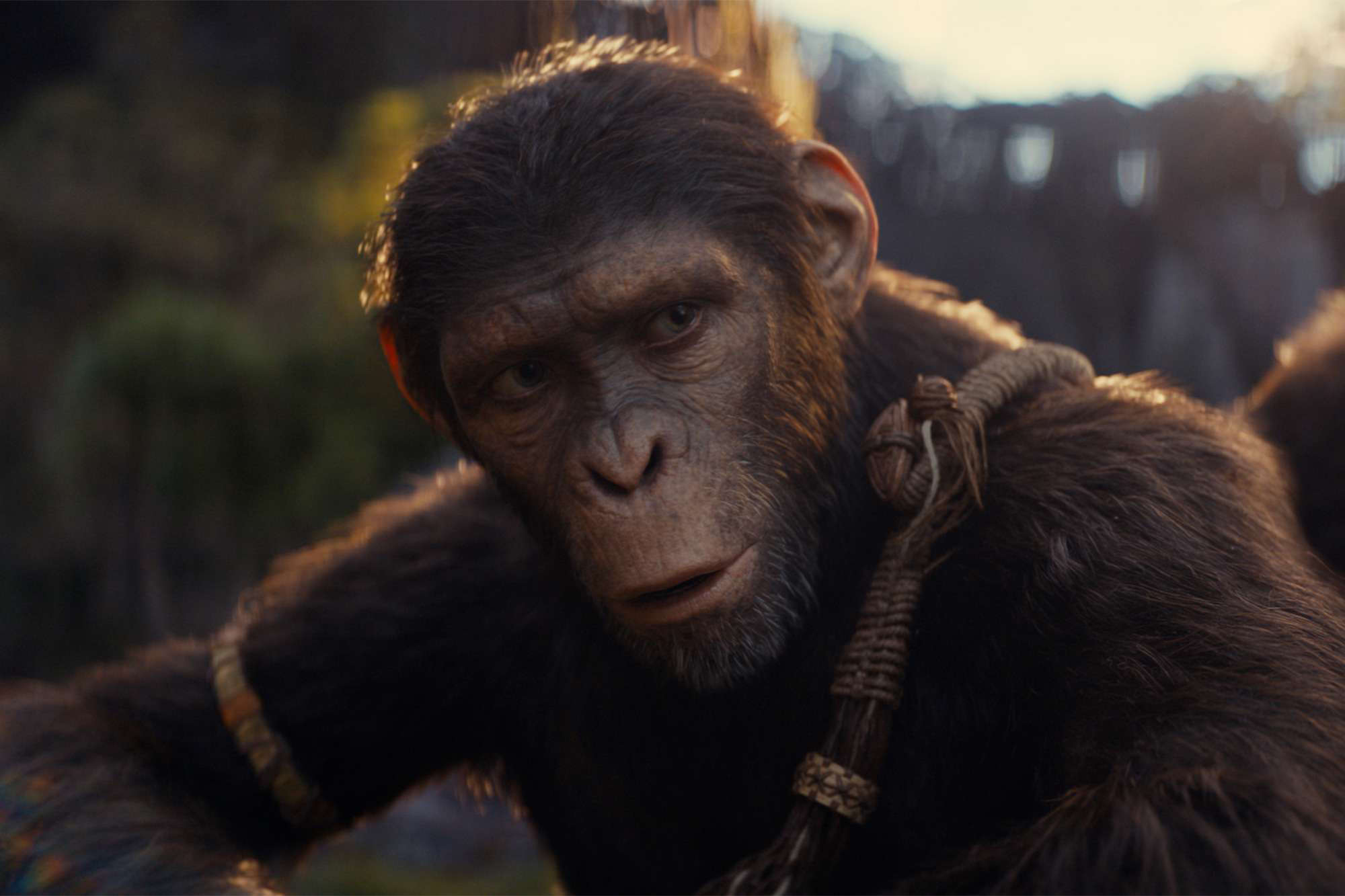 “Kingdom of the Planet of the Apes” star teases Caesar's legacy and the ...