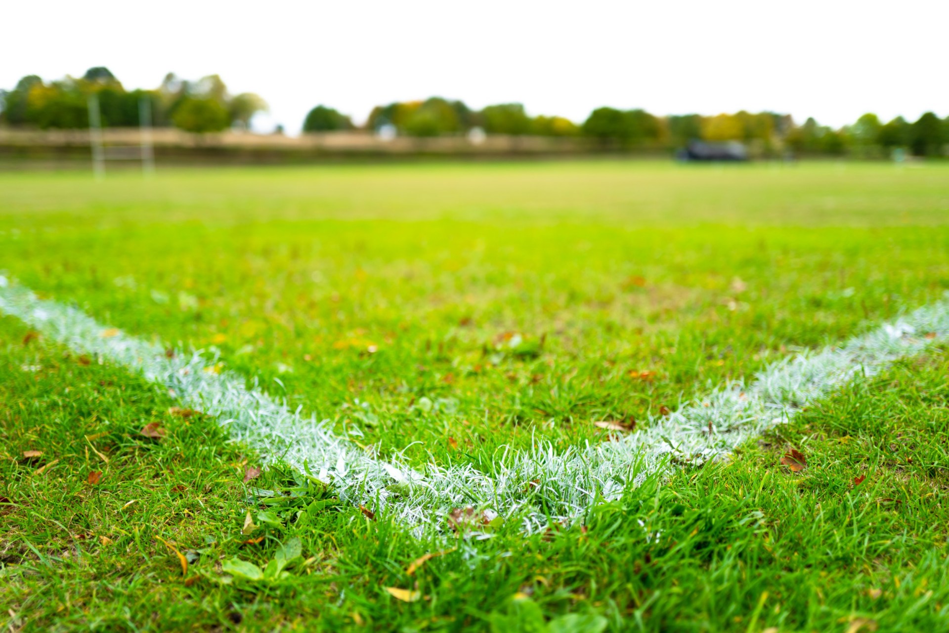 head teacher says school can't hire new staff because the grass needs cutting weekly