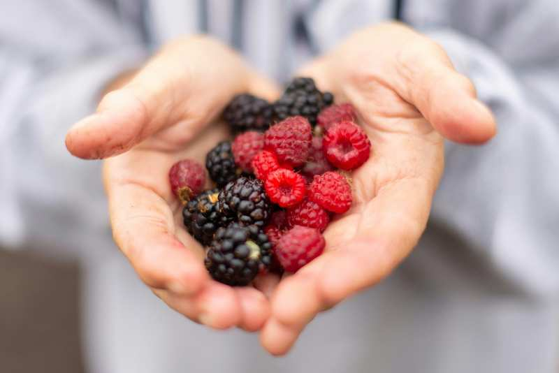5 alimentos antioxidantes que ayudan a combatir el envejecimiento prematuro y a prevenir enfermedades
