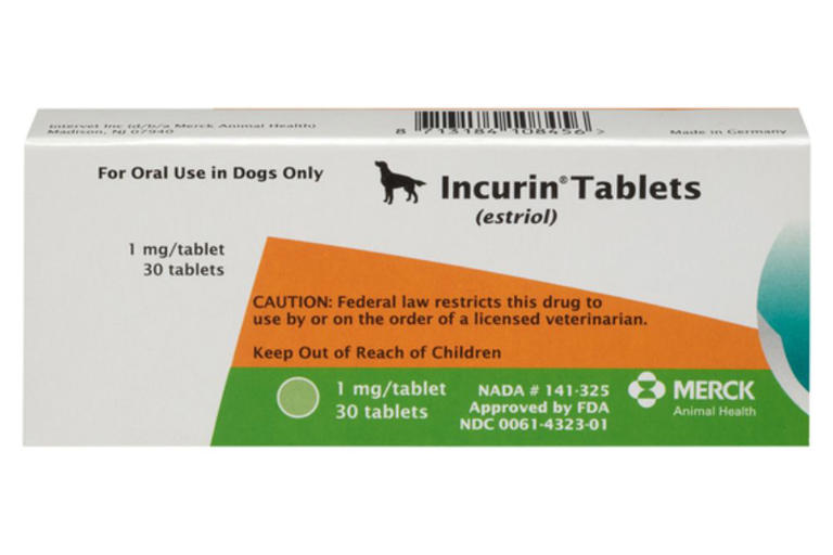 5 Dog Incontinence Medications That Could Help