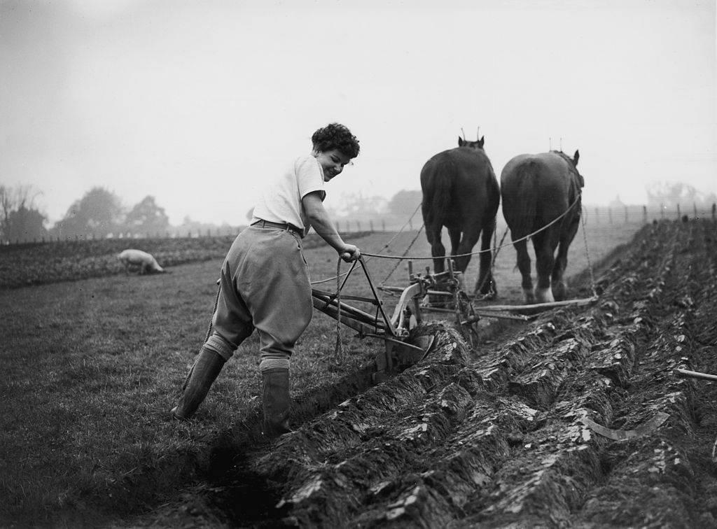 <p>If only the wealthy had cars in the 1940s, you could imagine that only the richest of farmers had access to a mechanical tractor. Back then, horses and mules were still used to plow fields, as they have been for thousands of years. </p> <p>At the time, farmers probably didn't know what farming would look like in the future or imagine a life without their trusty livestock. While this picture might as well have been taken back hundreds of years, it's actually the 1940s! </p>