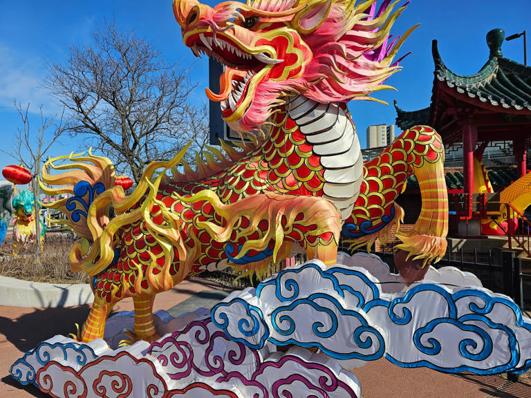 Chicago's Asian American communities prepare for Lunar New Year ...