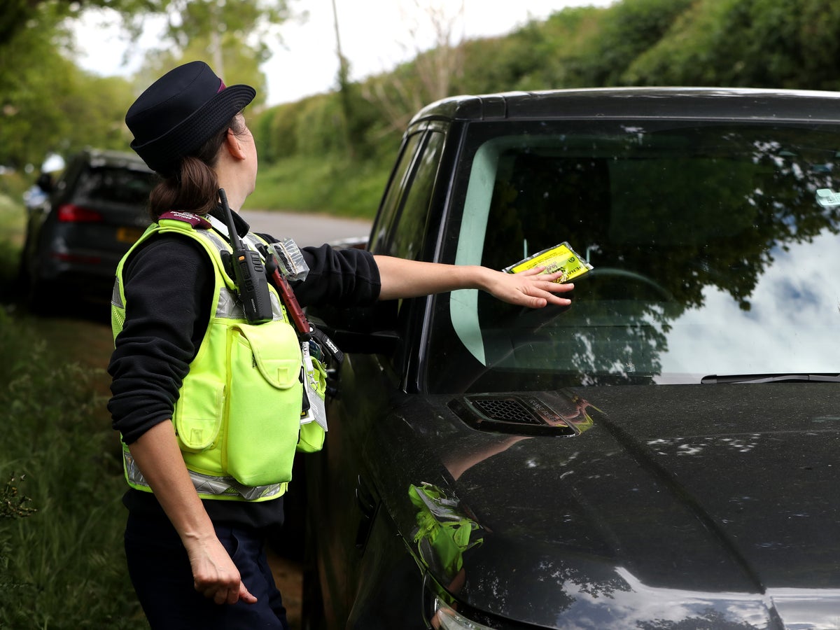 Voices Should A Ban On Pavement Parking Be Rolled Out Across The UK   BB1ic0q8.img