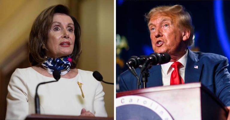 'Too blinded by hatred': Internet divided as Nancy Pelosi labels Donald Trump 'national security risk' over Capitol attack
