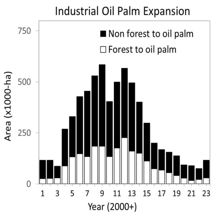 Palm oil deforestation makes comeback in Indonesia after decade-long slump