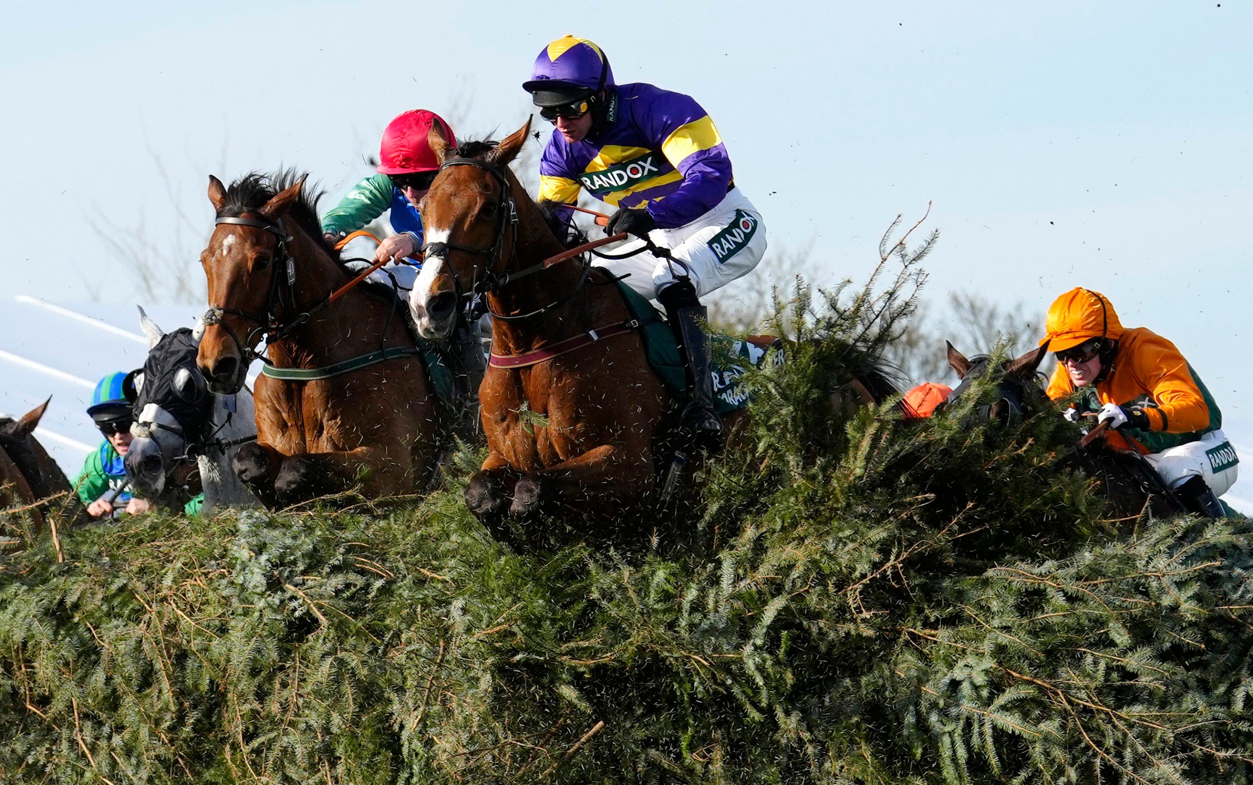 how to, grand national 2024 tips: how to the pick the winner and the best ante-post bet