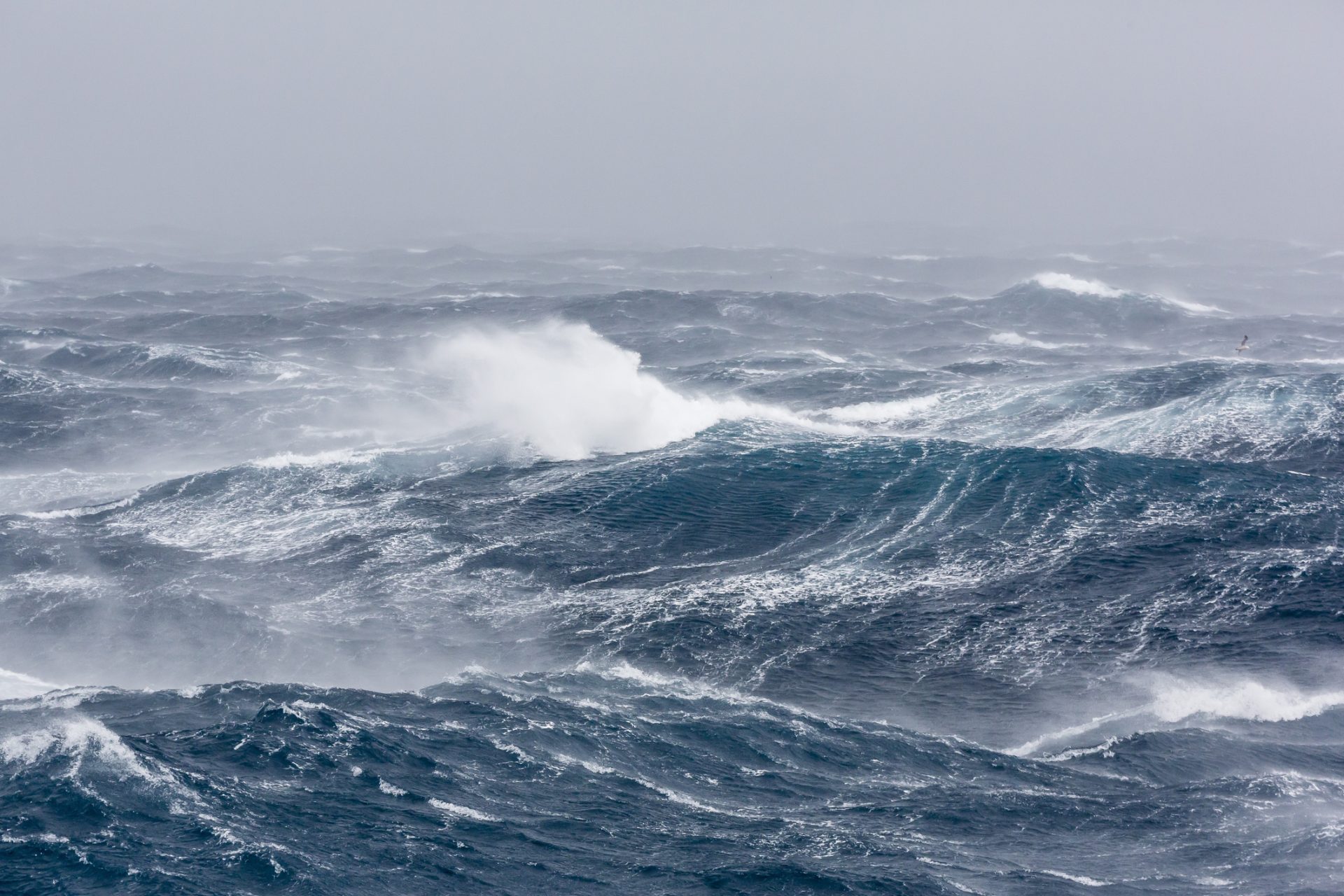 Meet The Drake Passage: The World’s Most Treacherous Sea Crossing