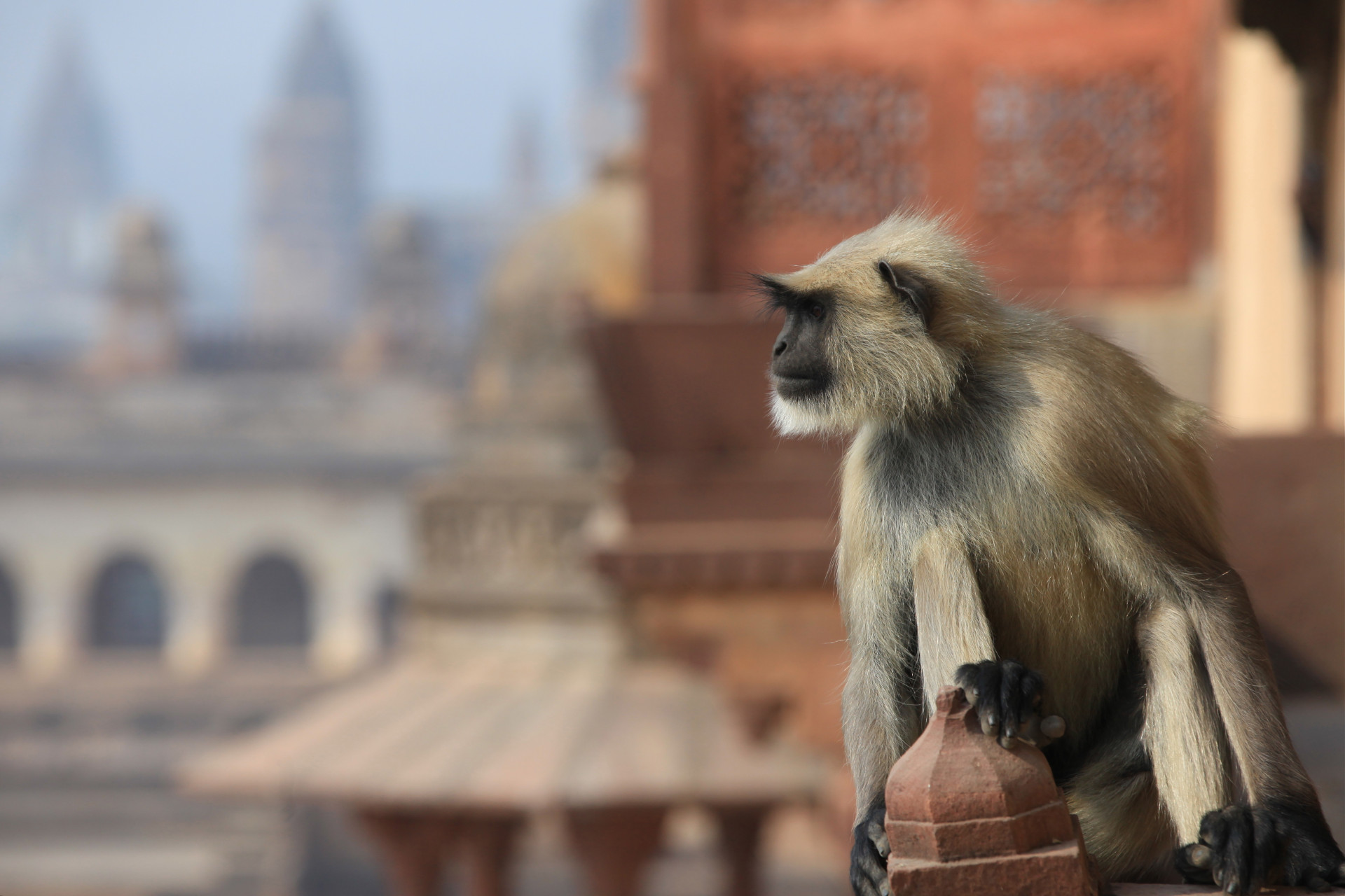 Berühmte Missionare, die das Christentum auf der ganzen Welt verbreiteten