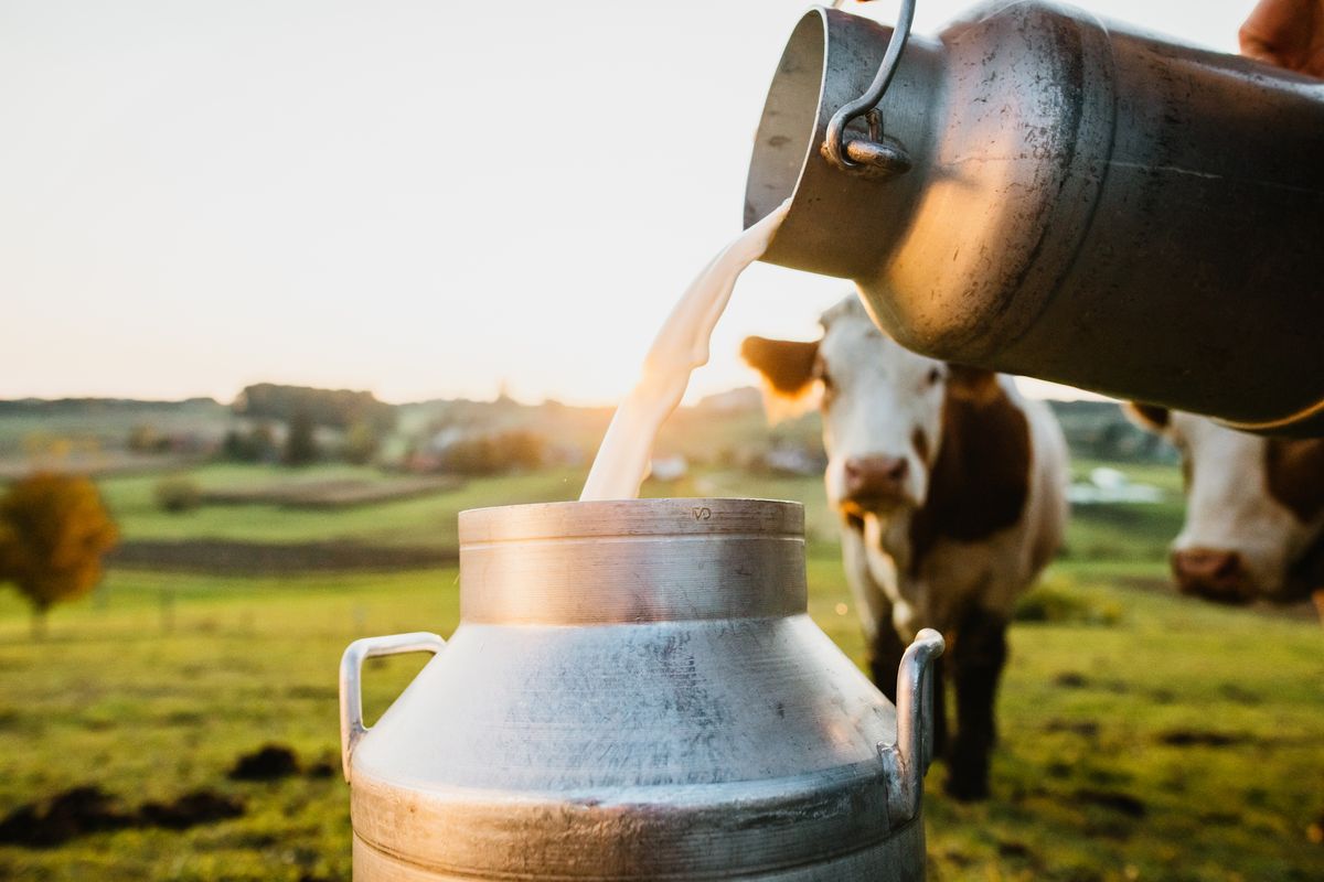 raw milk is illegal in nearly half of the u.s., so why are people drinking it?