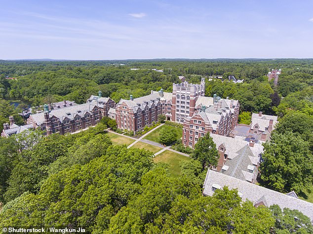 growing calls for wealthy boston suburb of wellesley to house migrants with one resident saying if town can spend money on dei consultants it can shelter border crossers