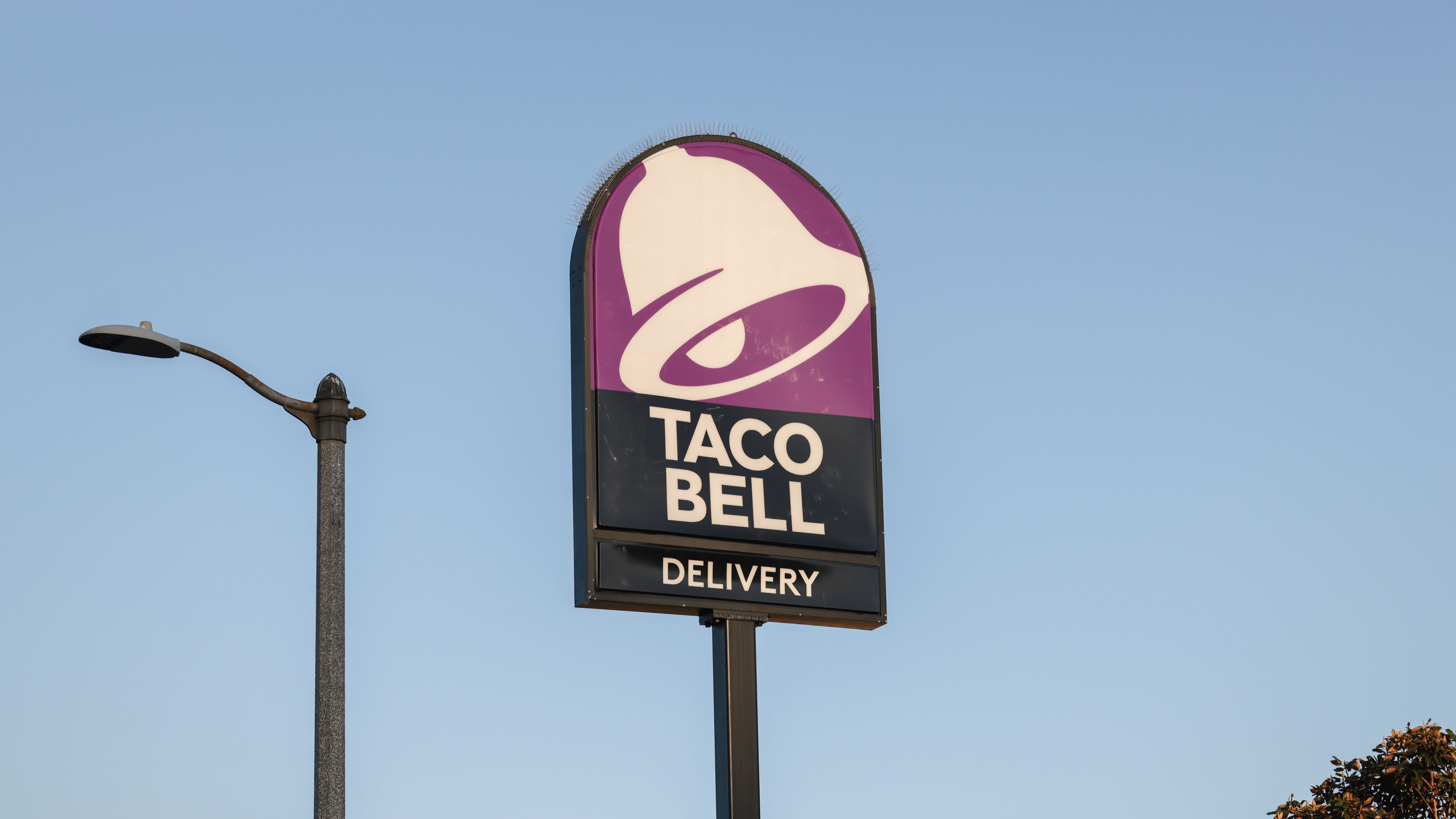 Taco Bell Releases List Of New Menu Items Coming In 2024: Baja Blast ...