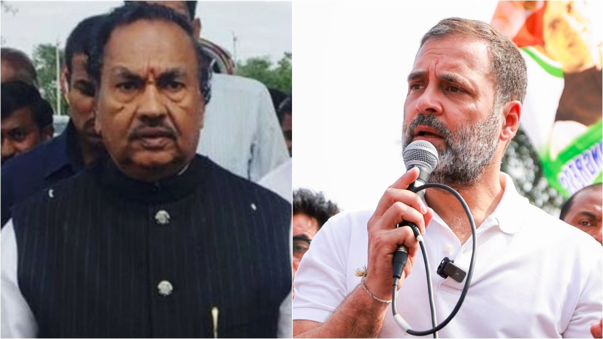 'some call him mixed breed': bjp leader attacks rahul gandhi over 'pm obc' remark