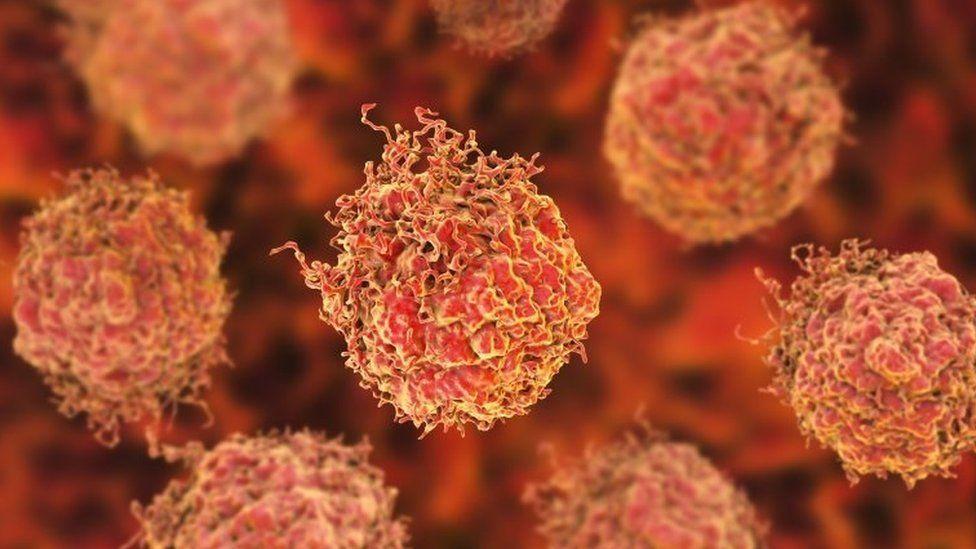 'assombroso não é ter câncer, mas sim não ter': pesquisador explica por que vê nossa sobrevivência como 'um milagre'