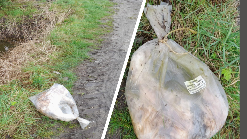 konijn gedumpt in plastic zak: 'onvoorstelbaar en onbegrijpelijk'