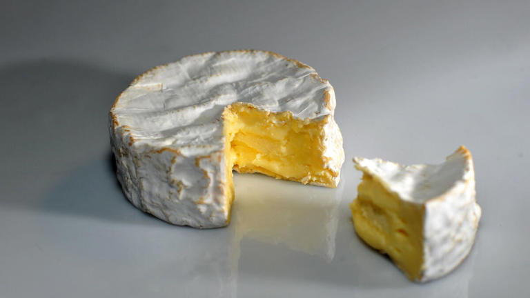 Bactérie E Coli Pourquoi Il Faut éviter De Donner Certains Fromages Aux Enfants 