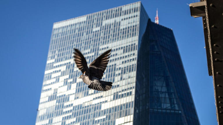 Eine Taube hebt vor der Zentrale der Europäischen Zentralbank in Frankfurt ab. Drinnen wachsen die Sorgen um die Banken.