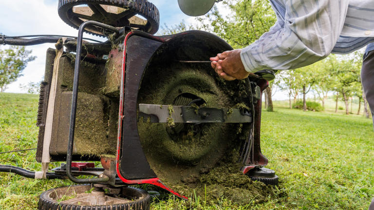 How To Clean Your Lawn Mower From Top To Bottom