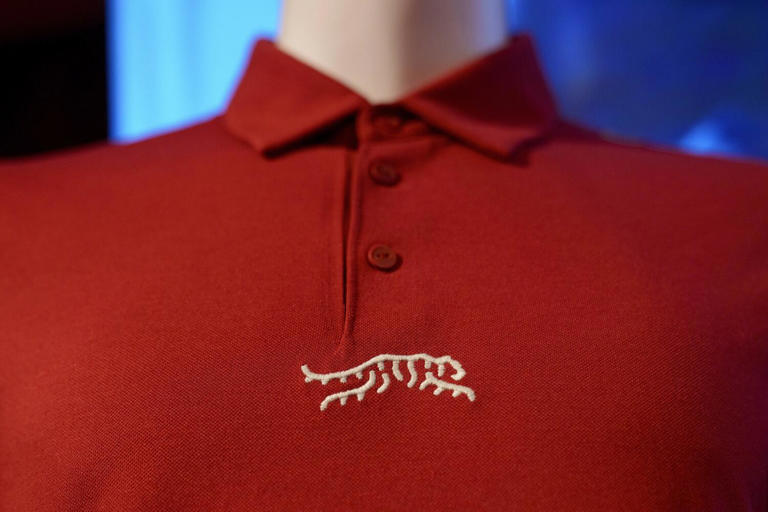 Who says a tiger can't change their stripes? Tiger Woods unveils new ...