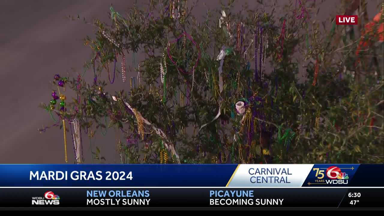 The best of Mardi Gras 2024