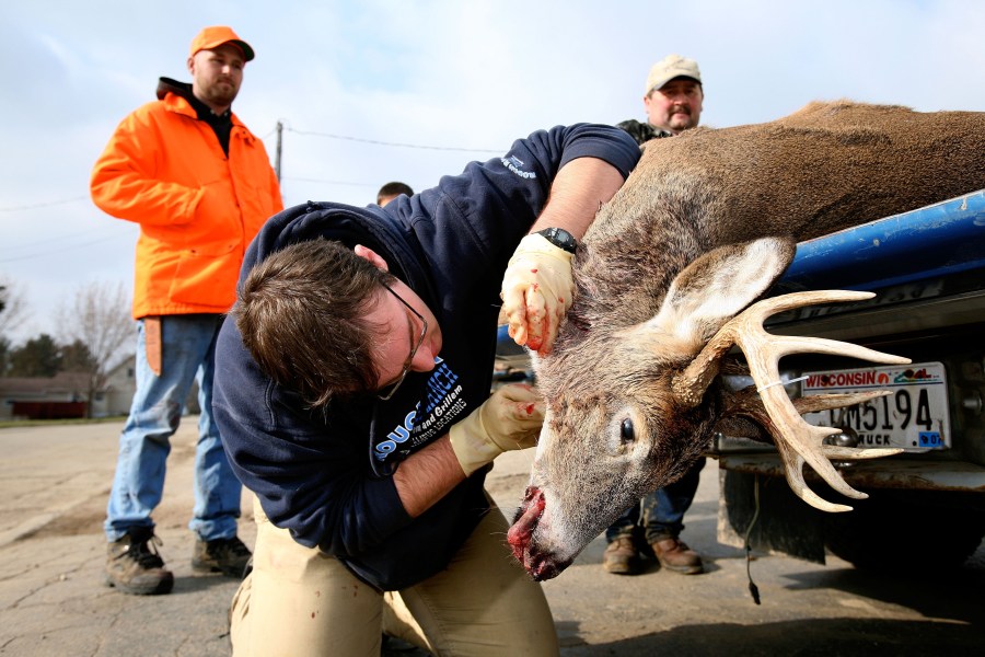 Deer Disease Cuts Down Trophy Buck Population In Kansas   BB1ieEcv.img