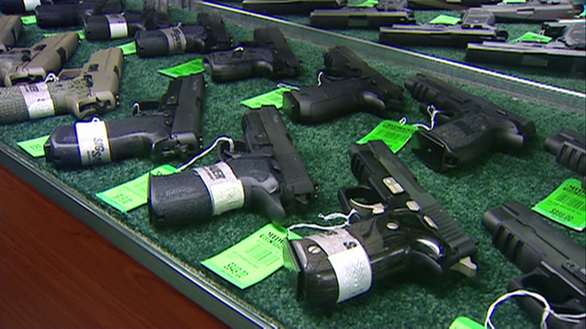 New Michigan Gun Laws Take Effect Tuesday