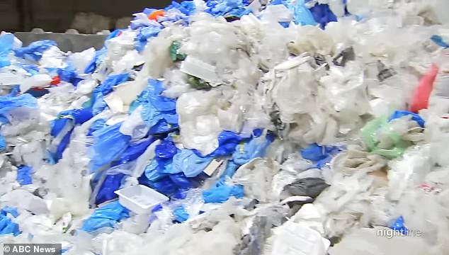 california's plastic bag ban backfires after customers just start dumping thicker and heavier 10 cent 'reusable' carriers instead, triggering more pollution than ever