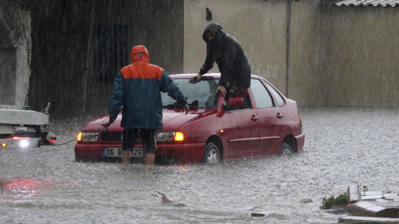 hochwasser in antalya in der türkei - auch hunde und katzen gerettet