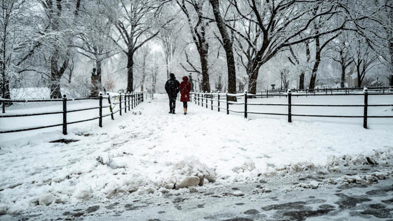 Winter Storm Live Updates: New York City Sees Highest Daily Snowfall In 