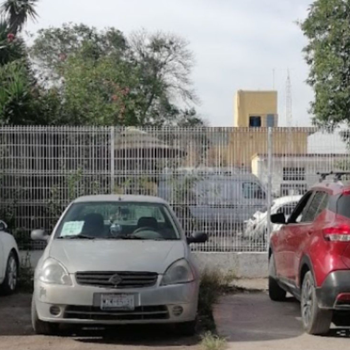 matan a una mujer dentro del hospital psquiátrico 'el zapote' en tlajomulco, jalisco