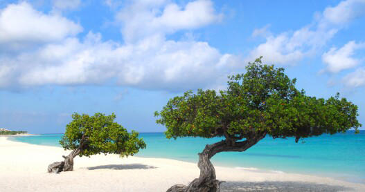 The ABC Islands of the Caribbean include Aruba, Bonaire, and Curaçao.