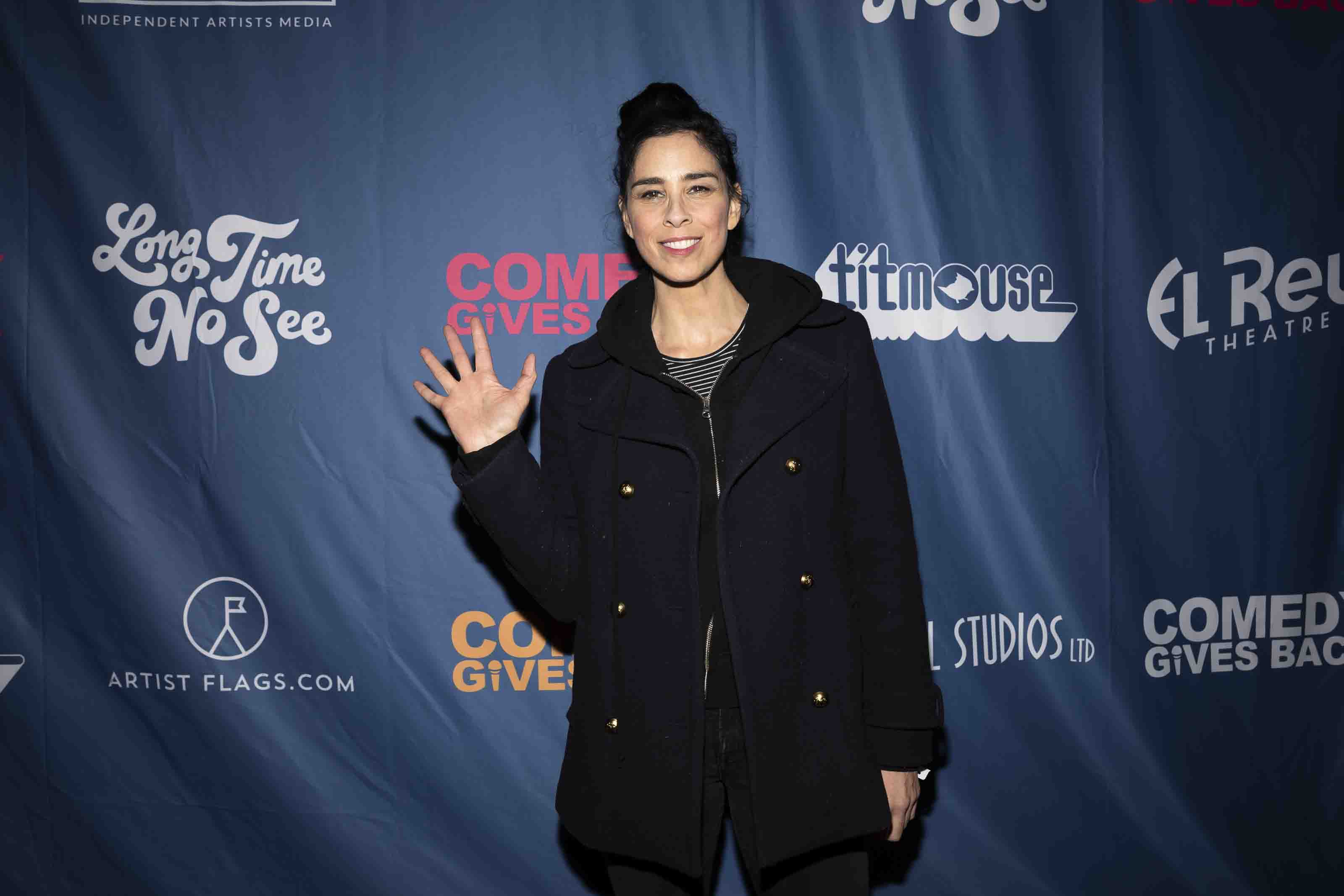 Sarah Silverman’s Copyright Infringement Suit Against OpenAI Will ...