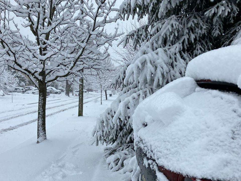 UPDATE: Columbia receives 9.9 inches of snow during storm, NWS