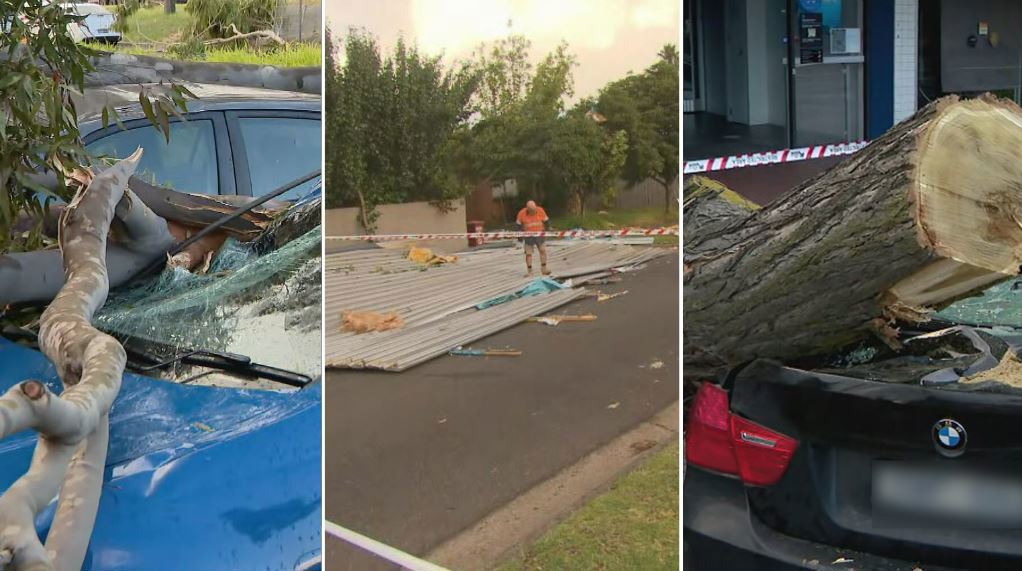 farmer killed by 'flying debris' during 'catastrophic' storm