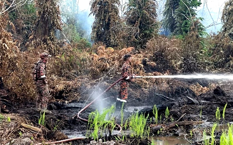 putrajaya working to prevent peatland fires, haze as dry season sets in