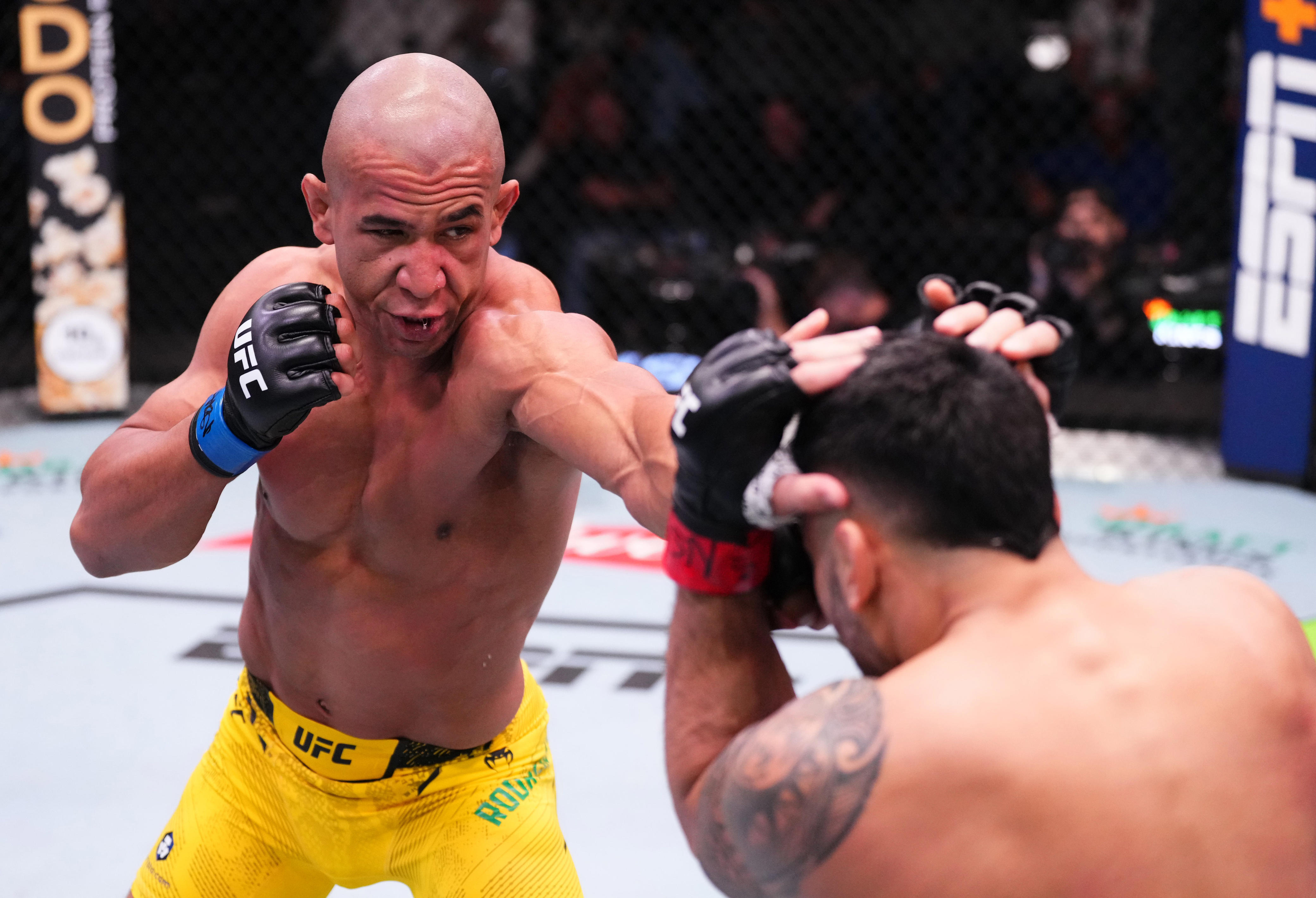 usa today sports/mma junkie rankings, feb. 13: 'robocop' gregory rodrigues making noise at middleweight