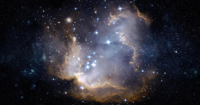 Photo: Shutterstock
