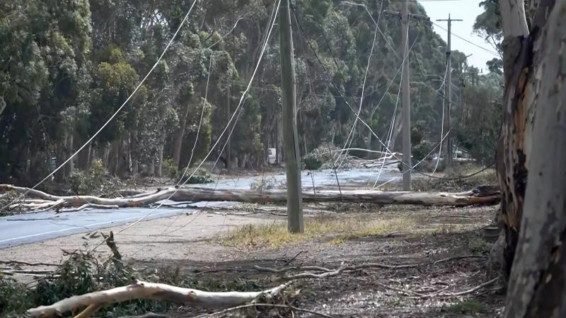 tempêtes en australie : un mort et 285.000 foyers privés d’électricité (vidéos)