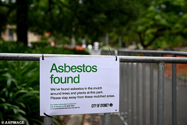 billionaire family at the centre of sydney's asbestos nightmare break their silence as they slam government attempts to blame them for the crisis: 'we're being made scapegoats'